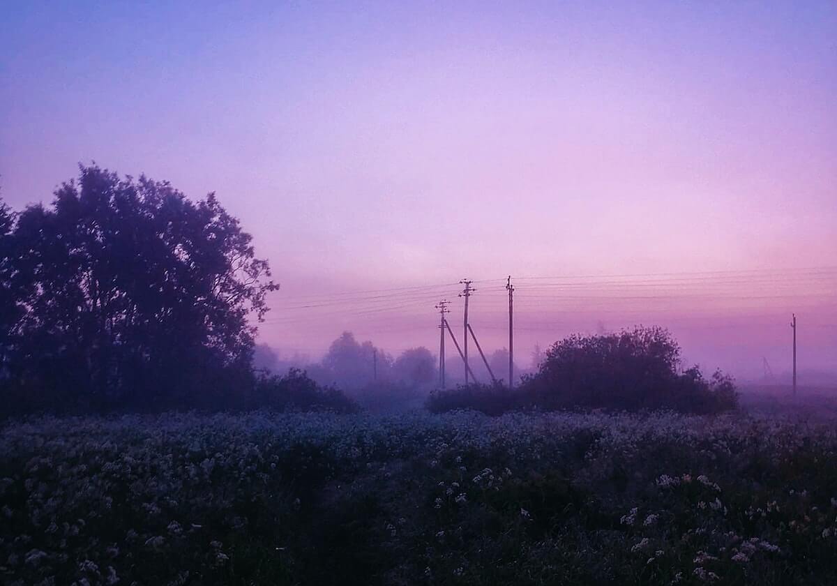德甲:拜仁胜勒沃库森